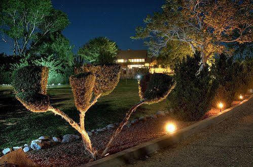Desert Rose Bed And Breakfast Cottonwood Eksteriør billede